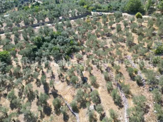 SABRİ PINARBAŞI'dan ALTINOLUK ARITAŞI'nda SATILIK 3800 m2 DENİZ MANZARALI ZEYTİNLİK