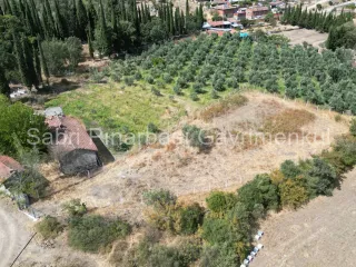 SABRİ PINARBAŞI'dan HAVRAN KÖYLÜCEDE SATILIK YATIRIMLIK HOBİ BAHÇESİ