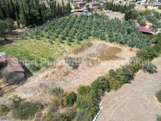 SABRİ PINARBAŞI'dan HAVRAN KÖYLÜCEDE SATILIK YATIRIMLIK HOBİ BAHÇESİ