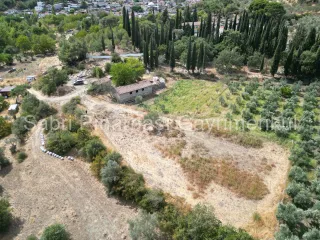 SABRİ PINARBAŞI'dan HAVRAN KÖYLÜCEDE SATILIK YATIRIMLIK HOBİ BAHÇESİ