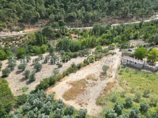 SABRİ PINARBAŞI'dan HAVRAN KÖYLÜCEDE SATILIK YATIRIMLIK HOBİ BAHÇESİ