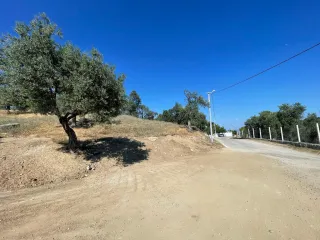 SABRİ PINARBAŞI 'dan GÜRE 'de SATILIK ARSA + ZEYTİNLİK