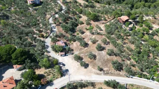 SABRİ PINARBAŞI 'dan GÜRE 'de SATILIK ARSA + ZEYTİNLİK