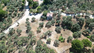 SABRİ PINARBAŞI 'dan GÜRE 'de SATILIK ARSA + ZEYTİNLİK