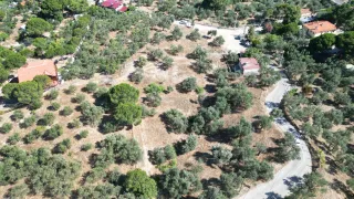 SABRİ PINARBAŞI 'dan GÜRE 'de SATILIK ARSA + ZEYTİNLİK