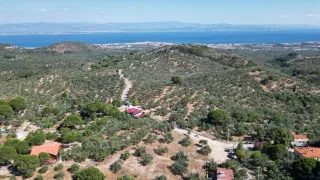 SABRİ PINARBAŞI 'dan GÜRE 'de SATILIK ARSA + ZEYTİNLİK