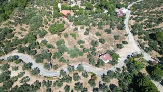 SABRİ PINARBAŞI 'dan GÜRE 'de SATILIK ARSA + ZEYTİNLİK