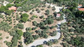 SABRİ PINARBAŞI 'dan GÜRE 'de SATILIK ARSA + ZEYTİNLİK
