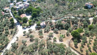 SABRİ PINARBAŞI 'dan GÜRE 'de SATILIK ARSA + ZEYTİNLİK