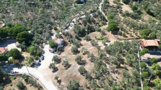 SABRİ PINARBAŞI 'dan GÜRE 'de SATILIK ARSA + ZEYTİNLİK