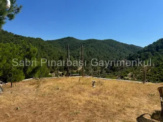 SABRİ PINARBAŞI'dan HAVRAN KARALAR'da SATILIK 12.300m2 TARLA İÇİNDE TAŞ EV