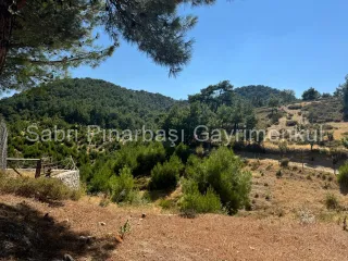 SABRİ PINARBAŞI'dan HAVRAN KARALAR'da SATILIK 12.300m2 TARLA İÇİNDE TAŞ EV
