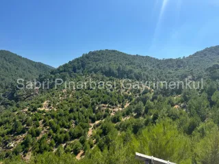 SABRİ PINARBAŞI'dan HAVRAN KARALAR'da SATILIK 12.300m2 TARLA İÇİNDE TAŞ EV