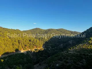 SABRİ PINARBAŞI'dan HAVRAN KARALAR'da SATILIK 12.300m2 TARLA İÇİNDE TAŞ EV
