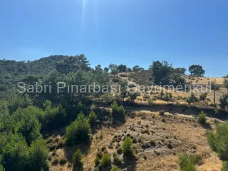 SABRİ PINARBAŞI'dan HAVRAN KARALAR'da SATILIK 12.300m2 TARLA İÇİNDE TAŞ EV