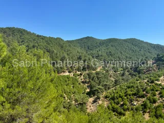 SABRİ PINARBAŞI'dan HAVRAN KARALAR'da SATILIK 12.300m2 TARLA İÇİNDE TAŞ EV