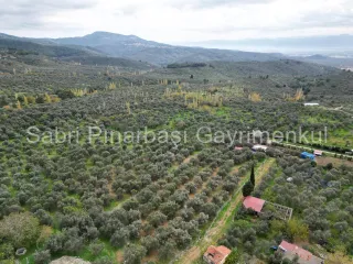 SABRİ PINARBAŞI GAYRİMENKUL'den EDREMİT BEYOBA'da SATILIK 967m2 ARSA