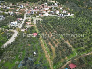 SABRİ PINARBAŞI GAYRİMENKUL'den EDREMİT BEYOBA'da SATILIK 967m2 ARSA