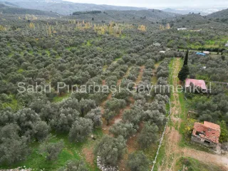 SABRİ PINARBAŞI GAYRİMENKUL'den EDREMİT BEYOBA'da SATILIK 967m2 ARSA