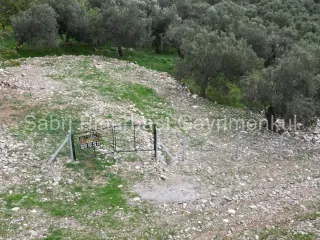 SABRİ PINARBAŞI GAYRİMENKUL'den EDREMİT BEYOBA'da SATILIK 967m2 ARSA