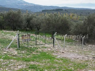 SABRİ PINARBAŞI GAYRİMENKUL'den EDREMİT BEYOBA'da SATILIK 967m2 ARSA