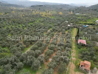 SABRİ PINARBAŞI GAYRİMENKUL'den EDREMİT BEYOBA'da SATILIK 967m2 ARSA