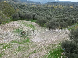 SABRİ PINARBAŞI GAYRİMENKUL'den EDREMİT BEYOBA'da SATILIK 967m2 ARSA