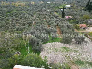 SABRİ PINARBAŞI GAYRİMENKUL'den EDREMİT BEYOBA'da SATILIK 967m2 ARSA