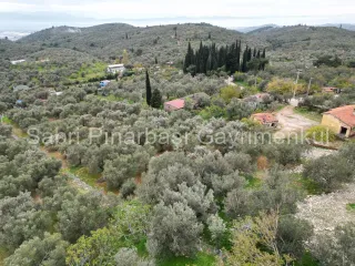 SABRİ PINARBAŞI GAYRİMENKUL'den EDREMİT BEYOBA'da SATILIK 967m2 ARSA