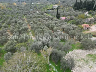 SABRİ PINARBAŞI GAYRİMENKUL'den EDREMİT BEYOBA'da SATILIK 967m2 ARSA