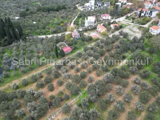 SABRİ PINARBAŞI GAYRİMENKUL'den EDREMİT BEYOBA'da SATILIK 967m2 ARSA