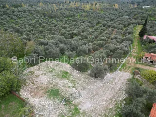 SABRİ PINARBAŞI GAYRİMENKUL'den EDREMİT BEYOBA'da SATILIK 967m2 ARSA