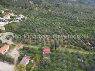 SABRİ PINARBAŞI GAYRİMENKUL'den EDREMİT BEYOBA'da SATILIK 967m2 ARSA