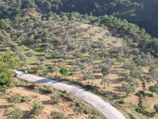 SABRİ PINARBAŞI'dan BURHANİYE KUYUMCU KÖY'ünde YOLA CEPHELİ SATILIK YATIRMLIK ZEYTİNLİK
