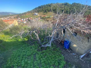 SABRİ PINARBAŞI'dan HAVRAN KÜÇÜKDERE'de SATILIK 1413 M2 ARSA
