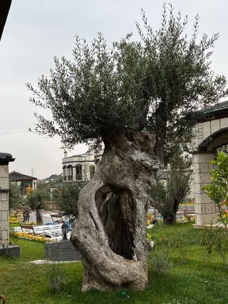SABRİ PINARBAŞI'dan GÜRE'de MUHTEŞEM MİMARİYE SAHİP SATILIK TAŞ EV